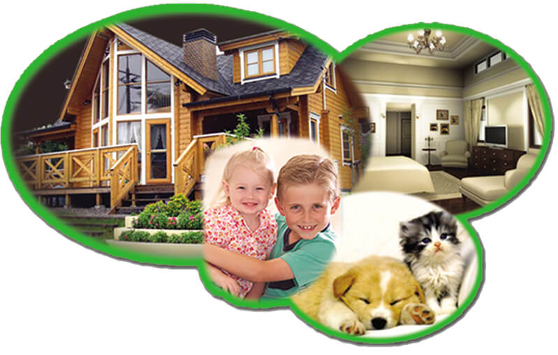 greennanothai green nano thai pest control company